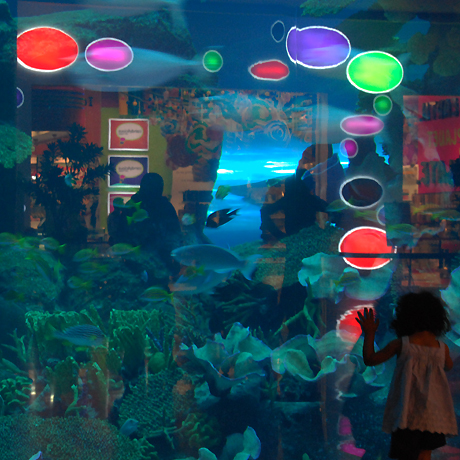 dubai mall pics. Aquarium at Dubai mall